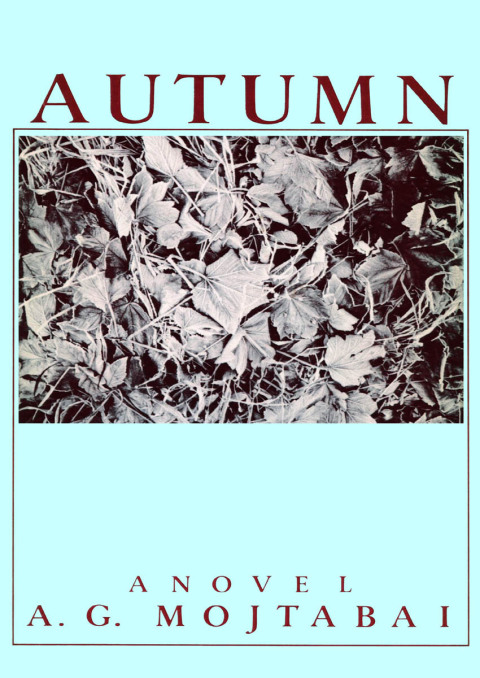 Cover image for book Autumn