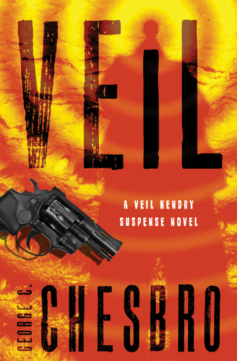 Cover image for book Veil
