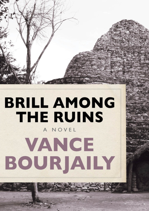 Cover image for book Brill Among the Ruins