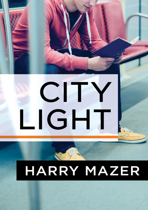 Cover image for book City Light