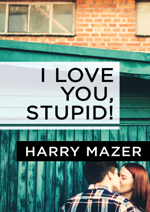 Cover image for book I Love You, Stupid!