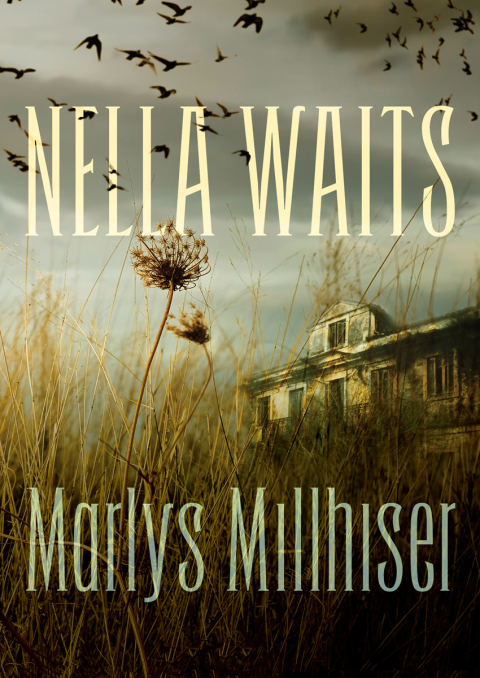 Cover image for book Nella Waits
