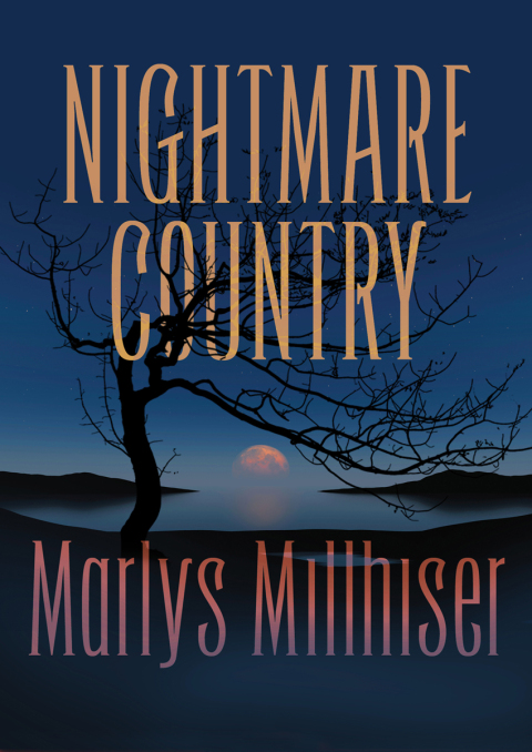 Cover image for book Nightmare Country