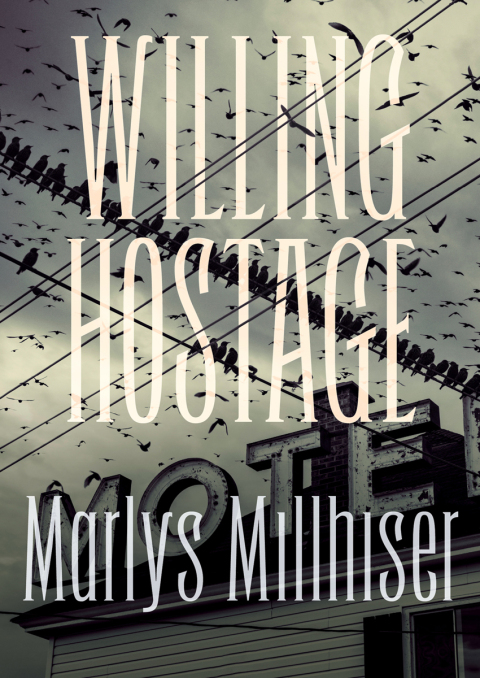Cover image for book Willing Hostage