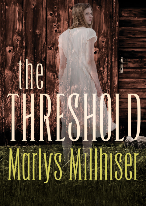 Cover image for book The Threshold