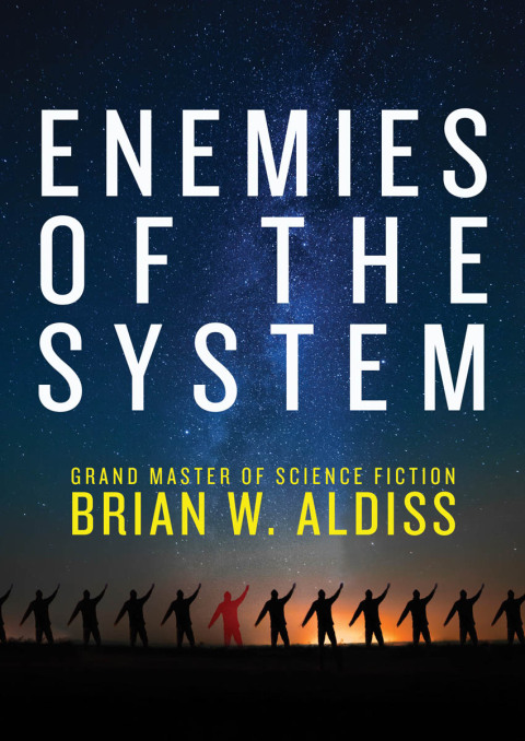 Cover image for book Enemies of the System