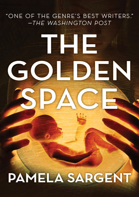 Cover image for book The Golden Space
