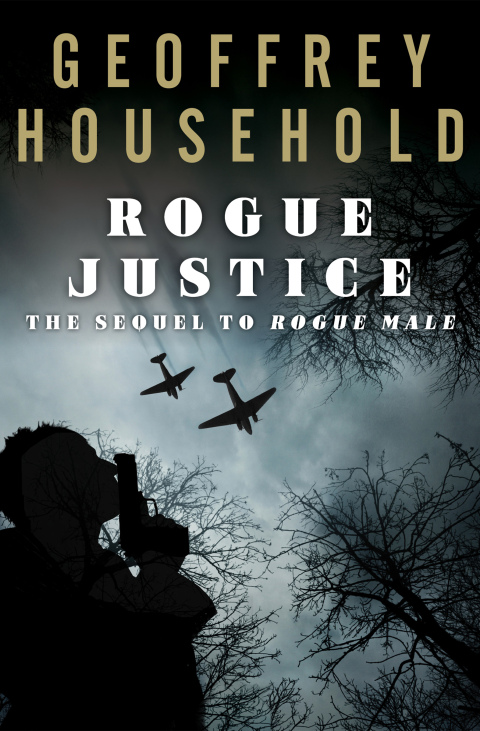 Cover image for book Rogue Justice