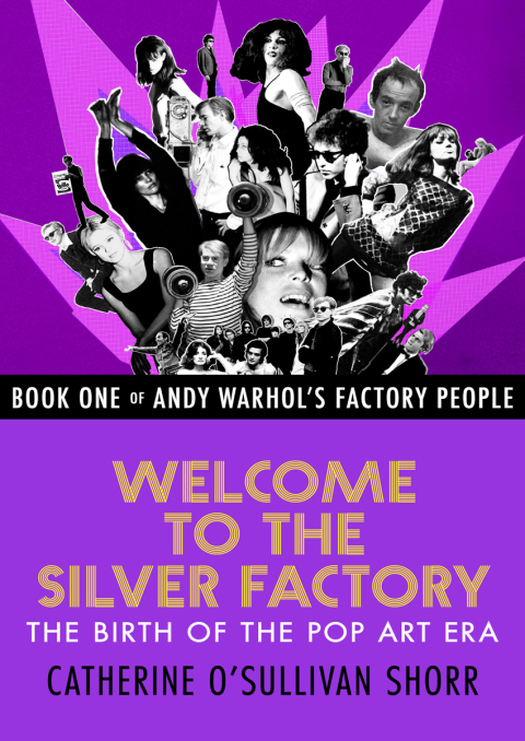 Cover image for book Welcome to the Silver Factory