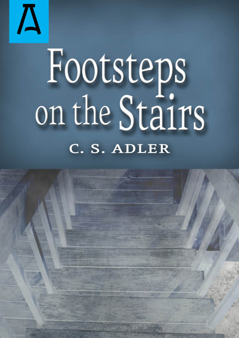 Cover image for book Footsteps on the Stairs