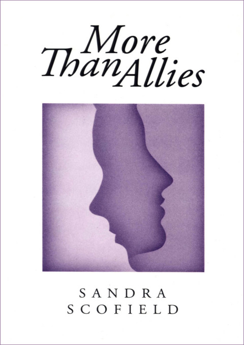 Cover image for book More Than Allies