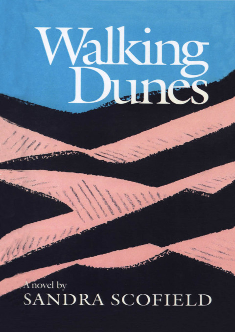 Cover image for book Walking Dunes
