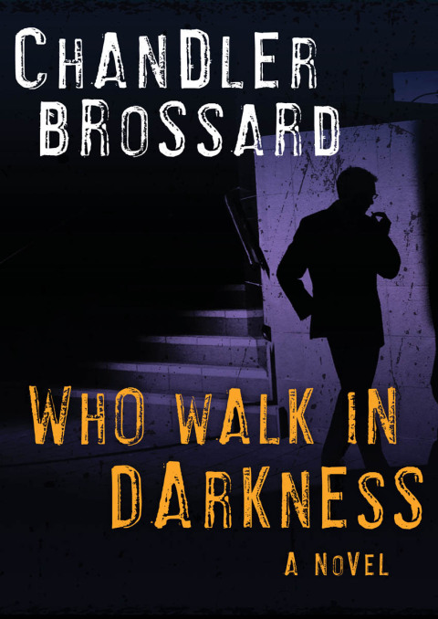 Cover image for book Who Walk in Darkness