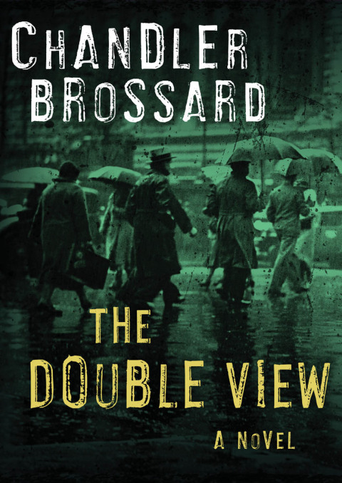 Cover image for book The Double View