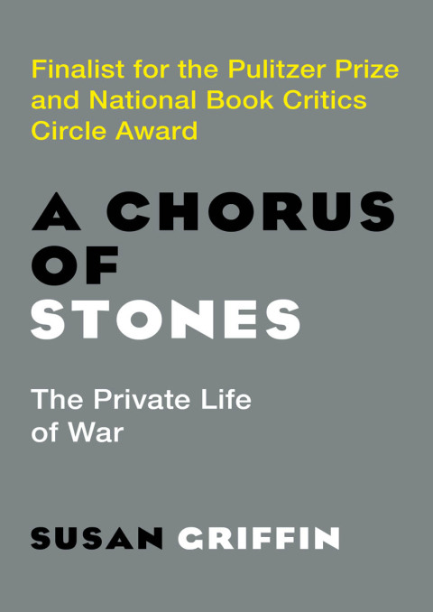 Cover image for book A Chorus of Stones