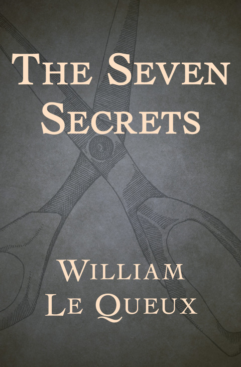 Cover image for book The Seven Secrets