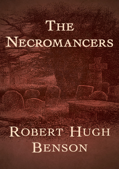 Cover image for book The Necromancers