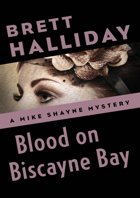 Cover image for book Blood on Biscayne Bay