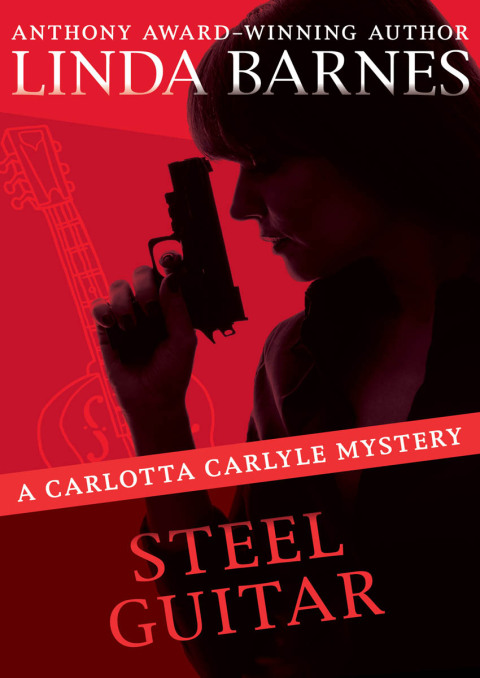 Cover image for book Steel Guitar