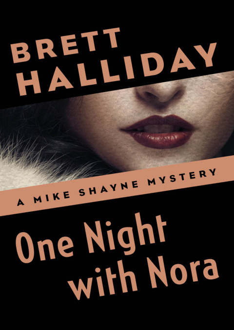 Cover image for book One Night with Nora