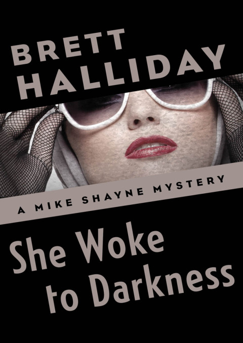 Cover image for book She Woke to Darkness