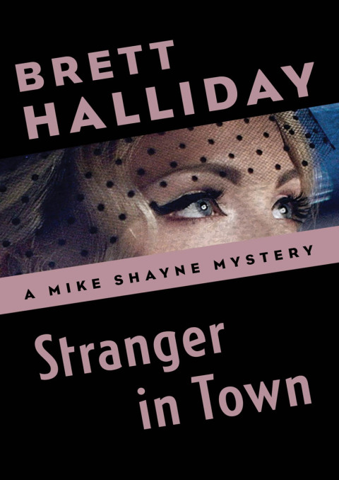 Cover image for book Stranger in Town