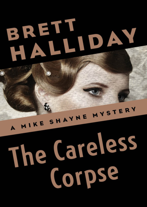 Cover image for book The Careless Corpse