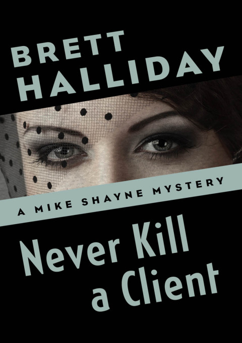Cover image for book Never Kill a Client