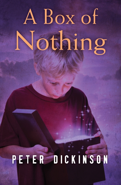 Cover image for book A Box of Nothing