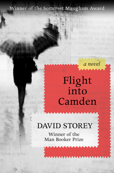 Cover image for book Flight into Camden