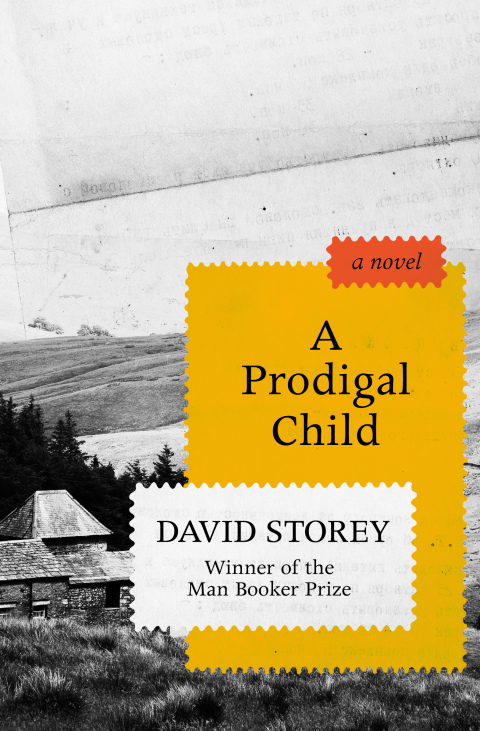Cover image for book A Prodigal Child