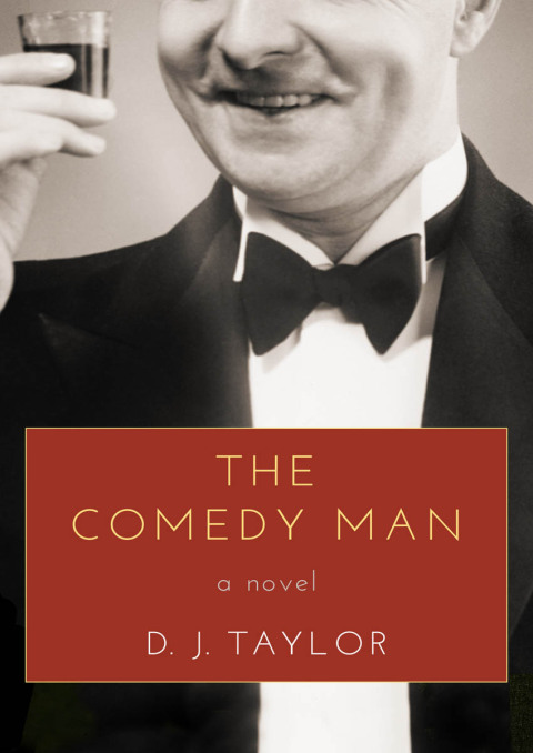 Cover image for book The Comedy Man
