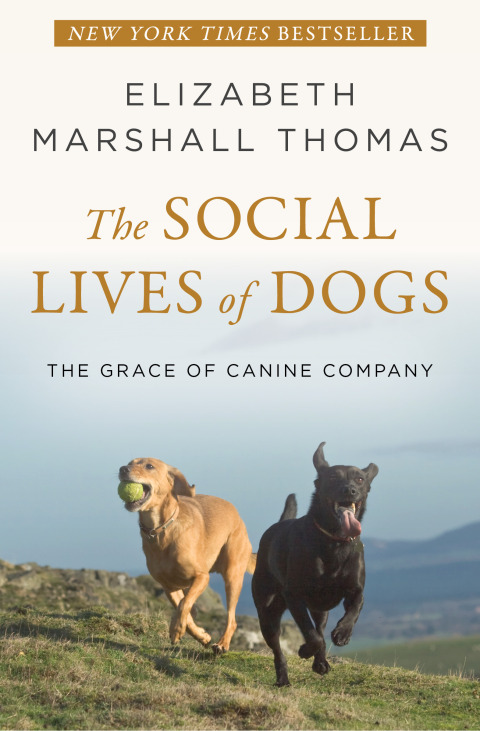 Cover image for book The Social Lives of Dogs