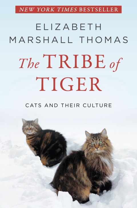 Cover image for book The Tribe of Tiger
