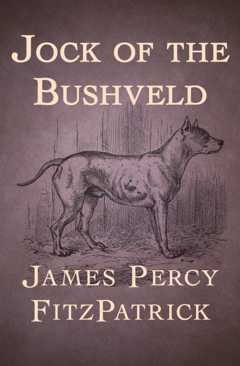 Cover image for book Jock of the Bushveld