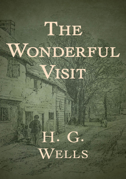 Cover image for book The Wonderful Visit