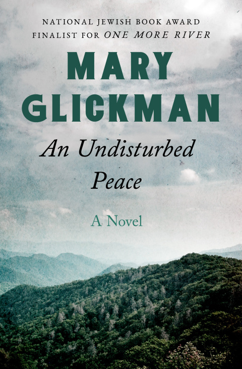 Cover image for book An Undisturbed Peace
