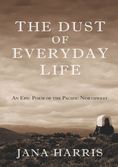 Cover image for book The Dust of Everyday Life