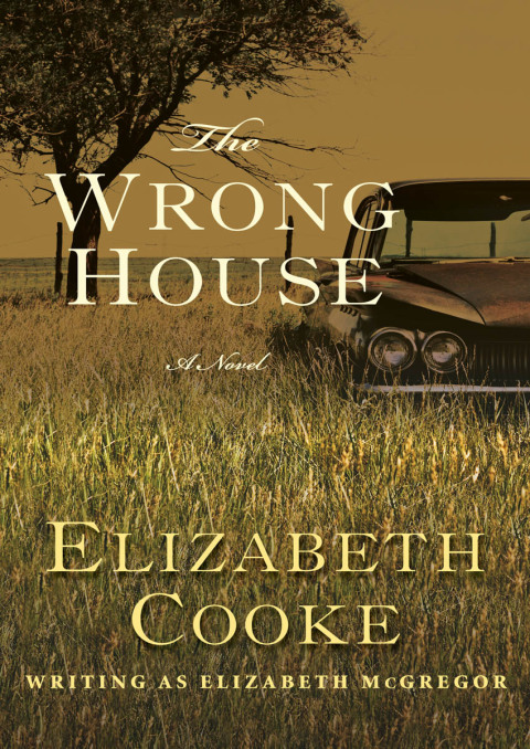 Cover image for book The Wrong House