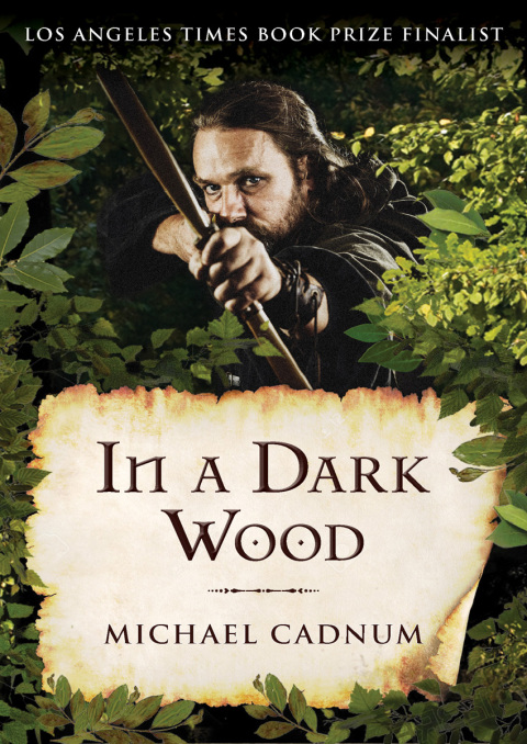 Cover image for book In a Dark Wood