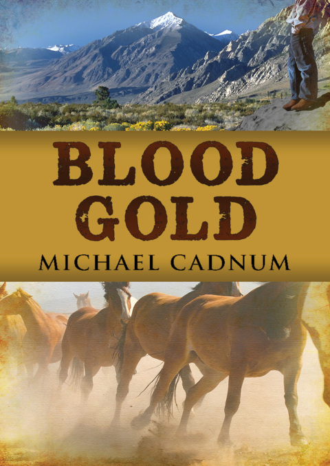 Cover image for book Blood Gold