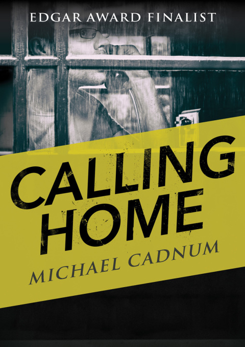 Cover image for book Calling Home