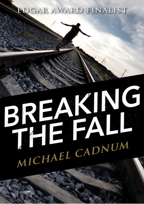 Cover image for book Breaking the Fall