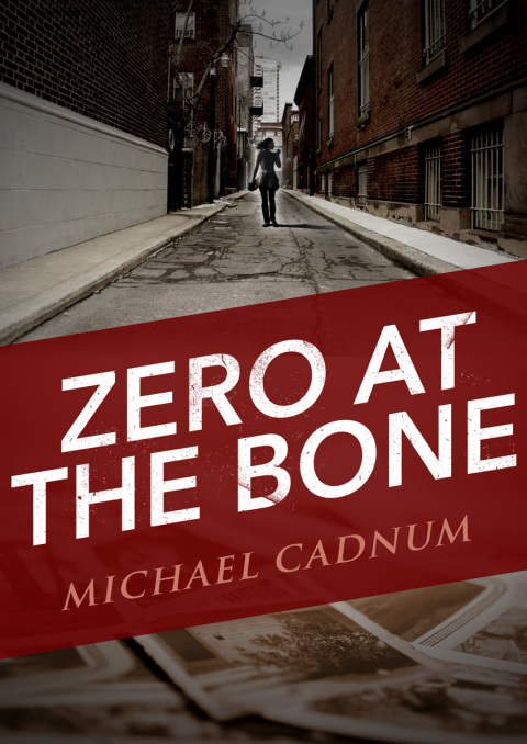 Cover image for book Zero at the Bone