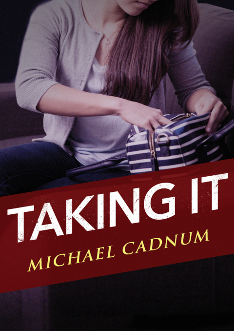 Cover image for book Taking It