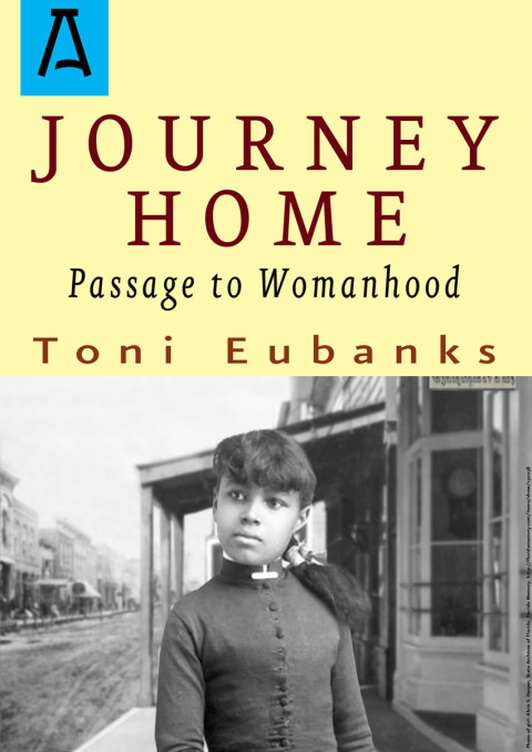 Cover image for book Journey Home