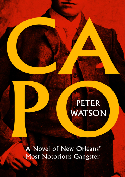 Cover image for book Capo