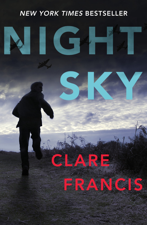 Cover image for book Night Sky