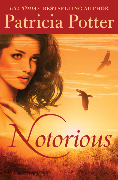 Cover image for book Notorious