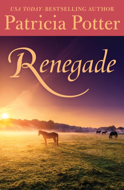 Cover image for book Renegade